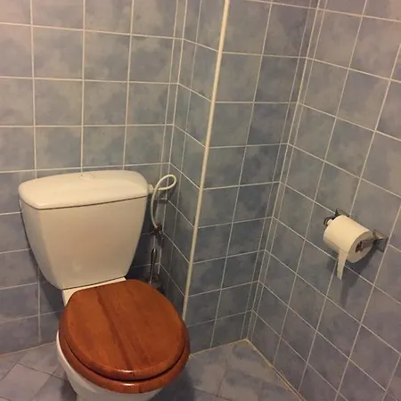 At The Golden Plough Apartament Praga